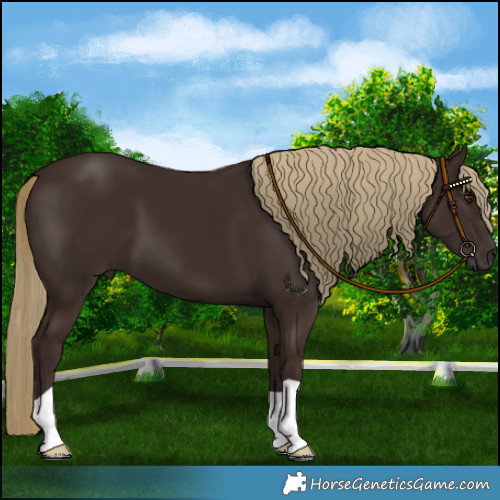 Horse Color:Liver Chestnut 