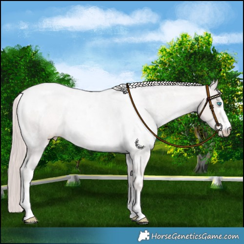 Horse Color:Platinum White Spotted Buckskin Pearl