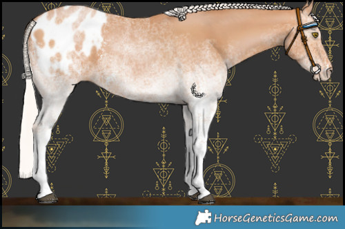Horse Color:White Spotted Silver Brown Pearl Blanket 