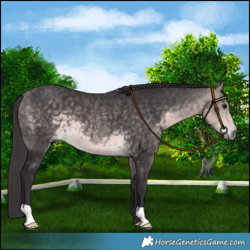 Horse Color:Platinum Buckskin 