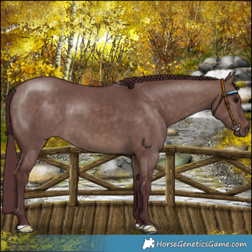Horse Color:Chocolate Brown Dun Mushroom 