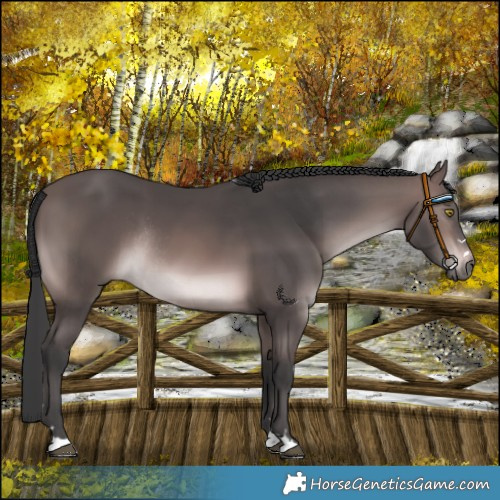 Horse Color:Platinum Brown Rabicano