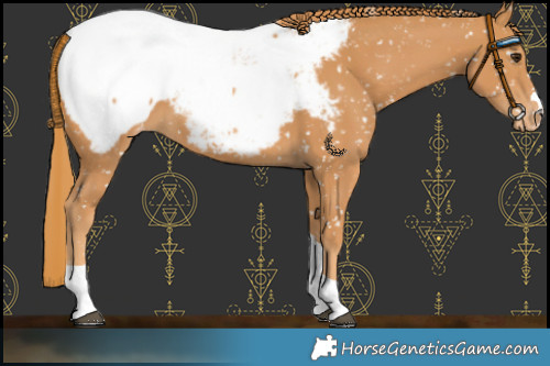 Horse Color:Chestnut Tobiano Near Fewspot