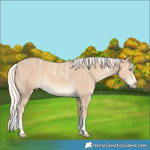 Horse Color:Powder White Cremello Splash 