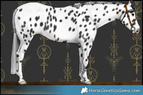 Horse Color:Brown Leopard 