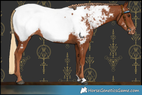 Horse Color:Chestnut Near Fewspot
