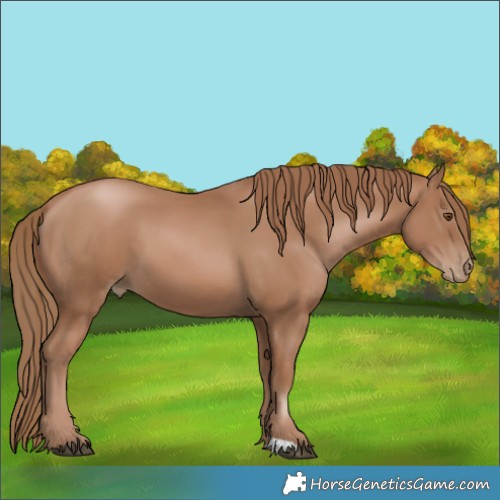 Horse Color:Black Pearl 