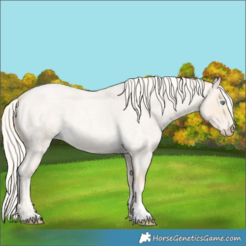 Horse Color:Cremello Roan 