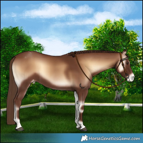 Horse Color:Red Onyx Varnish