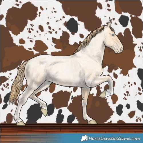 Horse Color:Buckskin Roan Pearl and Buckskin Roan Pearl