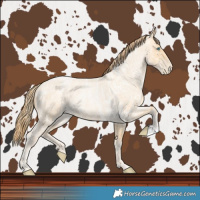 Horse Color:Buckskin Roan Pearl and Buckskin Roan Pearl