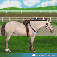 Horse Color:Amber Champagne Dun 