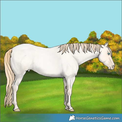 Horse Color:Buckskin Roan Pearl and Buckskin Roan Pearl