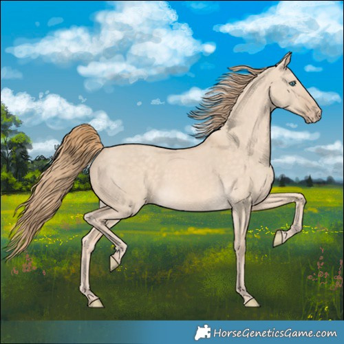 Horse Color:Perlino Dun