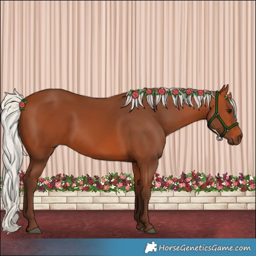 Horse Color:Silver Bay