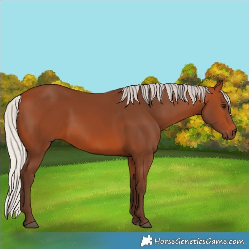 Horse Color:Silver Bay
