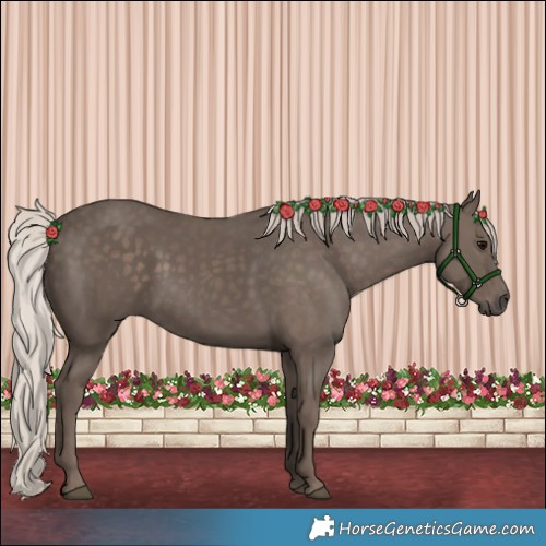 Horse Color:Silver Black