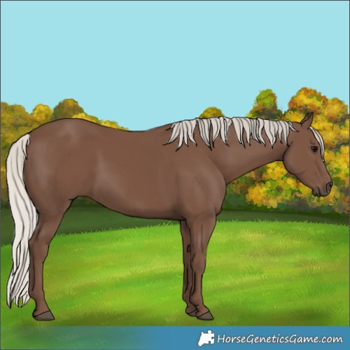 Horse Color:Silver Black