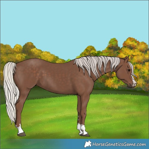 Horse Color:Silver Black