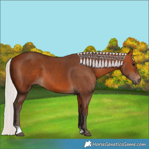 Horse Color:Silver Bay