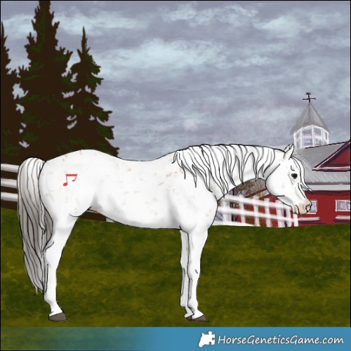 Horse Color:Bay Sabino 