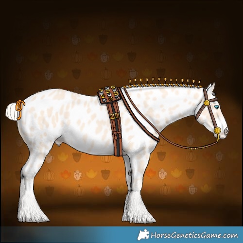 Horse Color:Cremello Near Leopard 