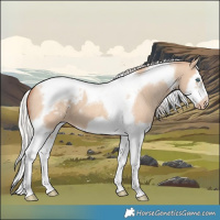Horse Color:Silver Classic Champagne Dun Splash Tobiano Frame Varnish 