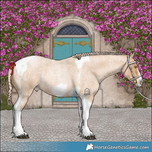 Horse Color:Red Roan Pearl Tobiano Frame 