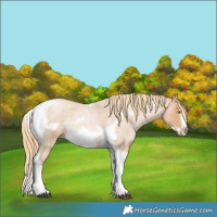 Horse Color:Red Roan Pearl Tobiano Frame 