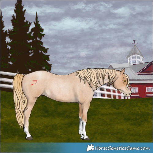Horse Color:Red Roan Pearl Tobiano Frame