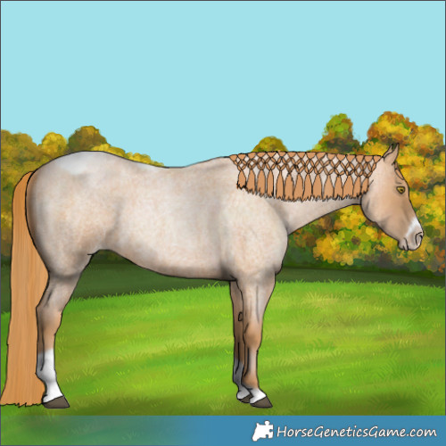 Horse Color:Red Roan Pearl Tobiano Frame