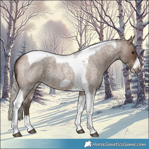 Horse Color:Silver Brown Roan Dun Tobiano Frame 