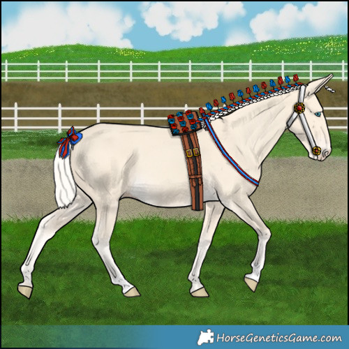 Horse Color:Cremello 