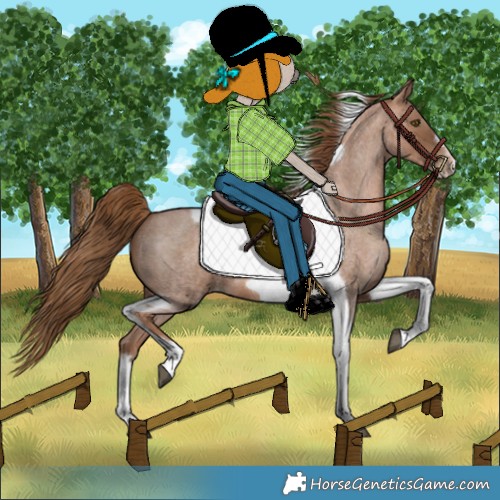 Horse Color:Unknown 