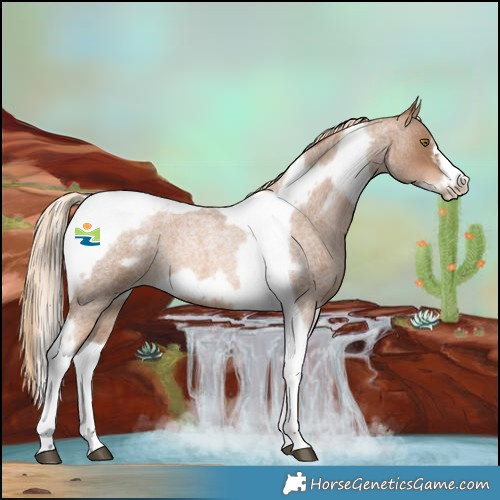 Horse Color:Liver Red Roan Pearl Tobiano Frame 