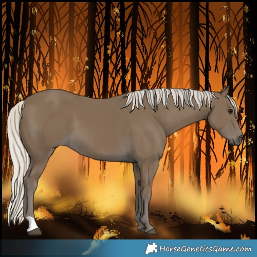 Horse Color:Silver Smoky Black 