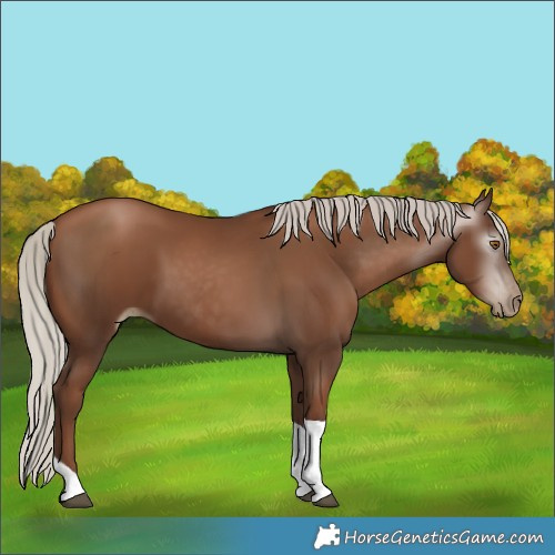 Horse Color:Gray Silver Black Pearl Tobiano 