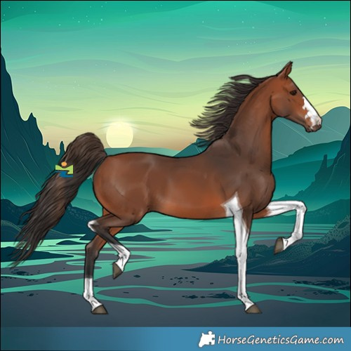 Horse Color:Bay Tobiano