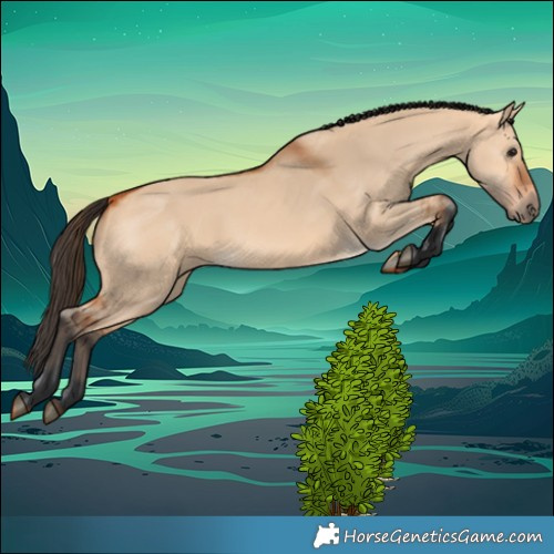 Horse Color:Bay Dun