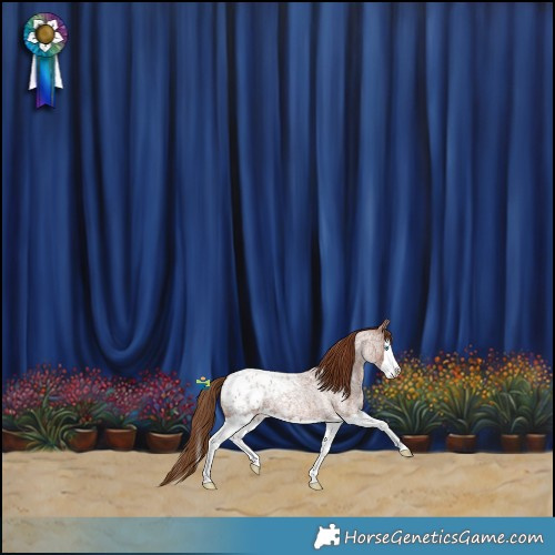 Horse Color:Red Roan Splash Blanket 