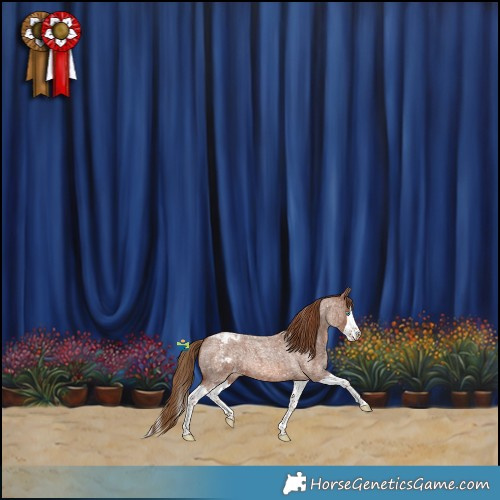 Horse Color:Red Roan Splash Snowflake Varnish