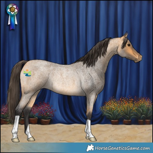 Horse Color:Buckskin Roan Rabicano
