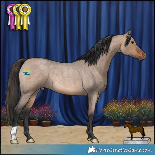 Horse Color:Bay Roan Dun Rabicano