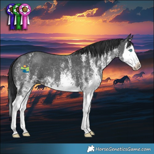 Horse Color:White Spotted Black Splash