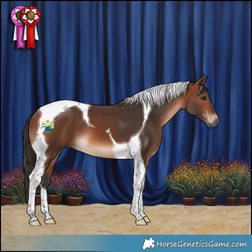 Horse Color:Bay Tobiano