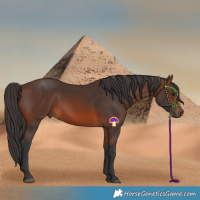 Horse Color:Brown Rabicano