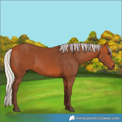 Horse Color:Silver Bay