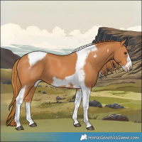 Horse Color:Chestnut Tobiano Frame
