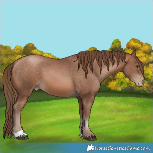 Horse Color:Brown Pearl 