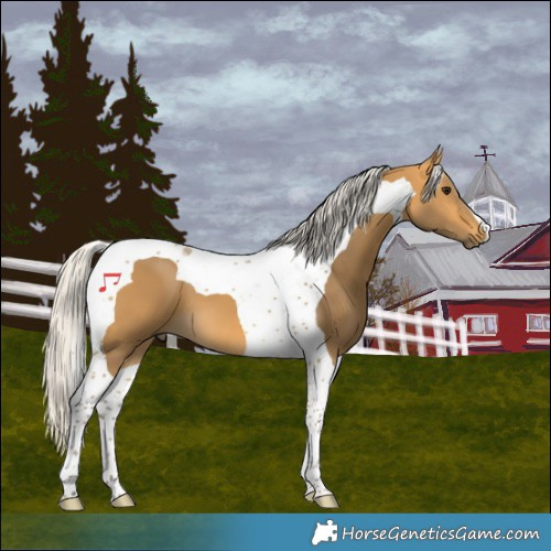 Horse Color:Silver Buckskin Tobiano